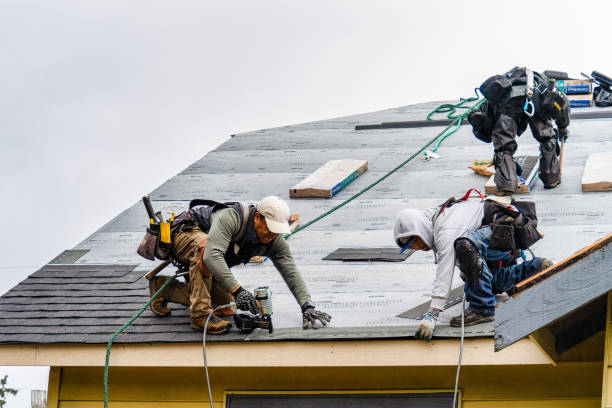 Professional Roofing technician working in Leicester, NC
